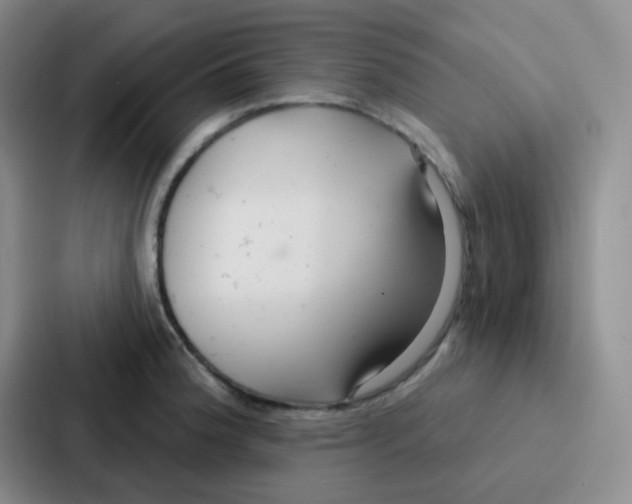 X0000086931188200705141736