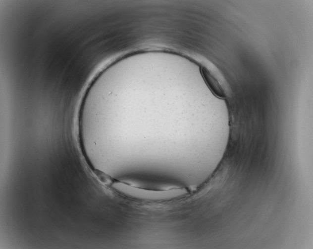 X0000086931191200705141736