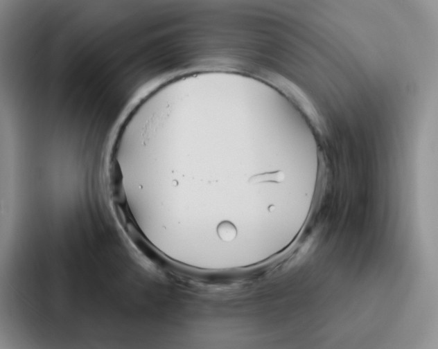 X0000086931192200705141736