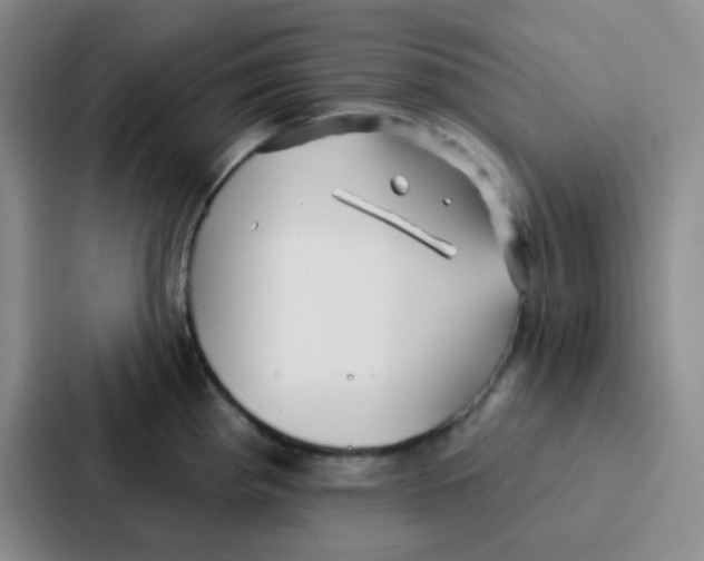 X0000086931193200705141736