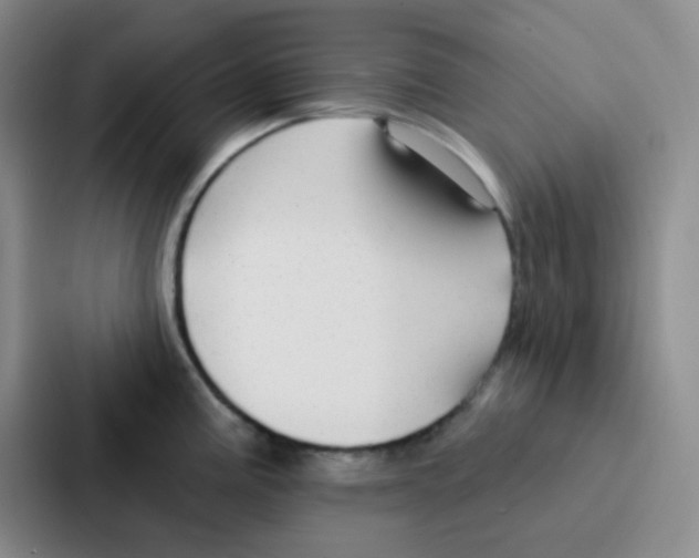 X0000086931195200705141736