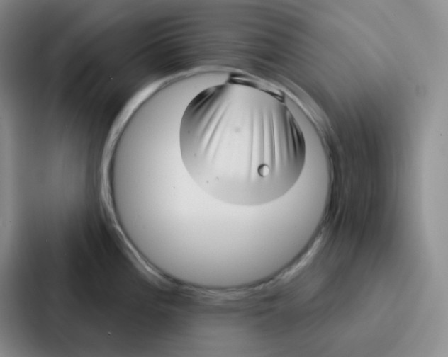 X0000086931196200705141736