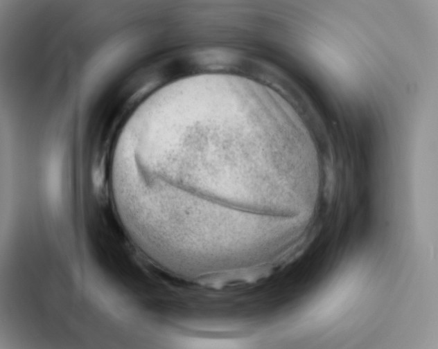 X0000086931198200705141736