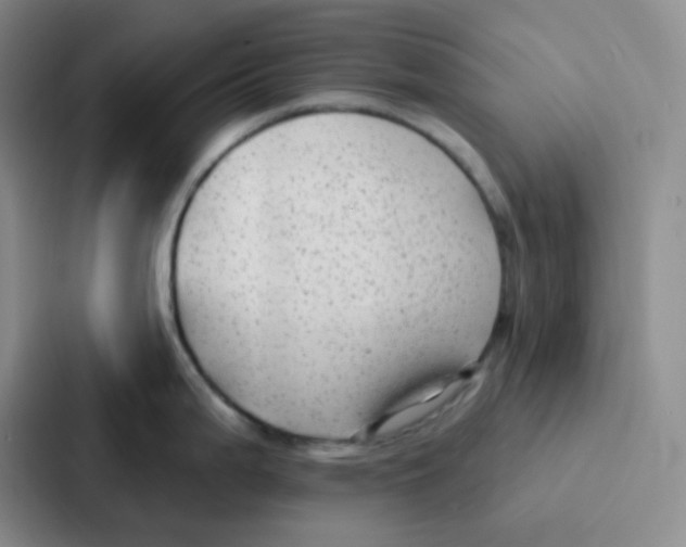 X0000086931199200705141736