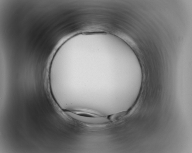 X0000086931200200705141736