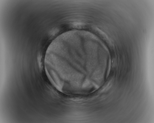 X0000086931202200705141735