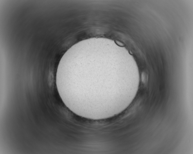 X0000086931203200705141735