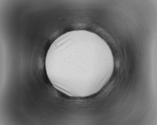 X0000086931204200705141735