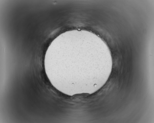 X0000086931205200705141735