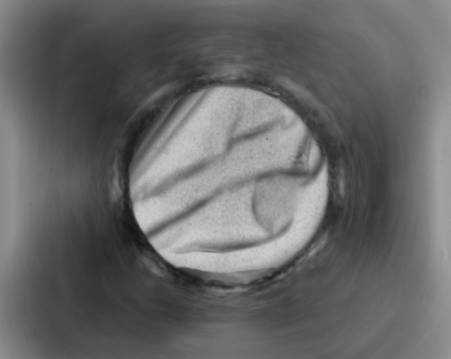 X0000086931206200705141735