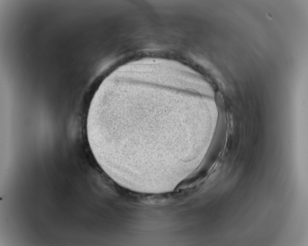 X0000086931208200705141735