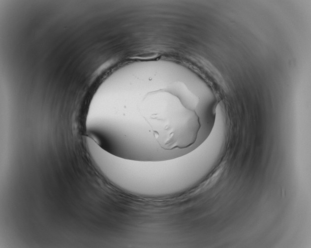 X0000086931210200705141735