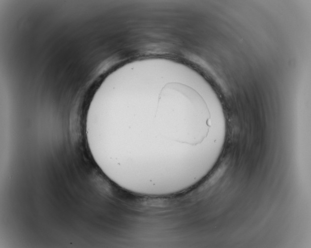 X0000086931211200705141735