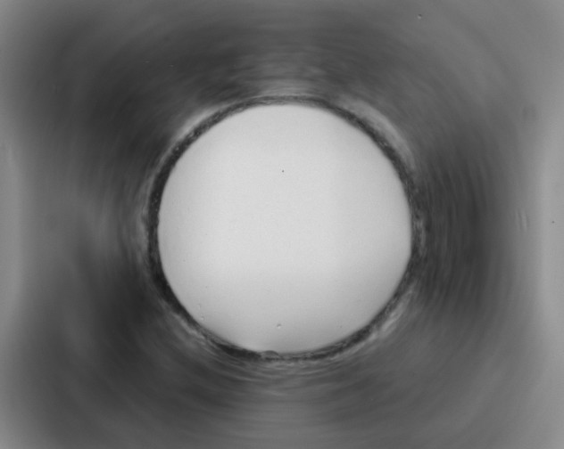 X0000086931212200705141735