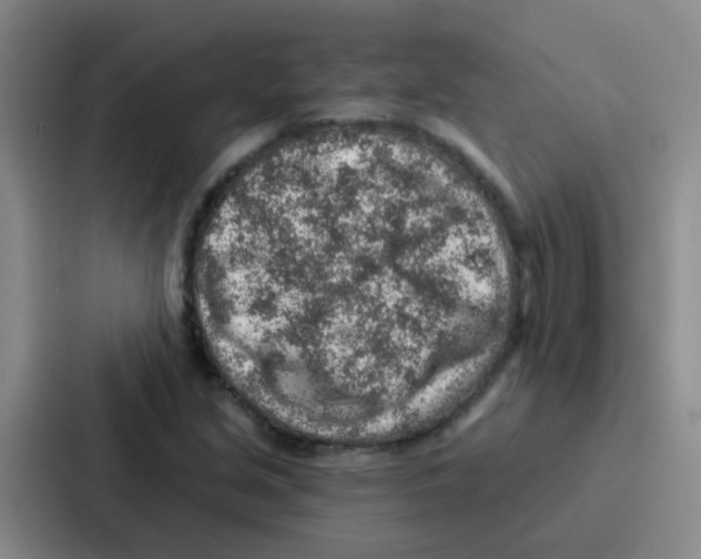 X0000086931213200705141735