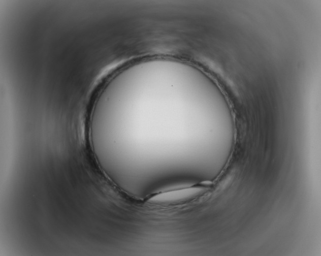 X0000086931214200705141735