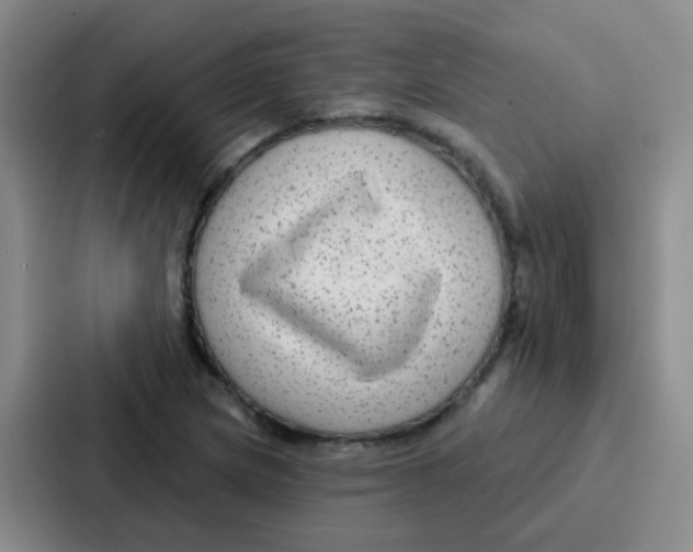 X0000086931217200705141735