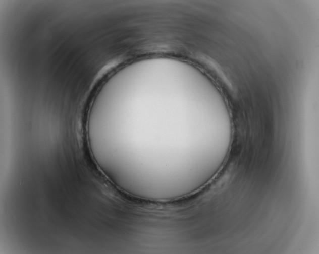 X0000086931218200705141735