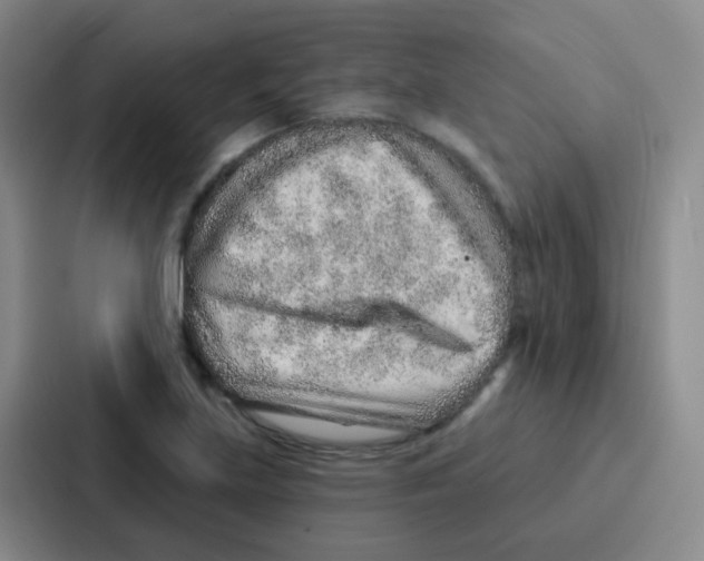 X0000086931219200705141735