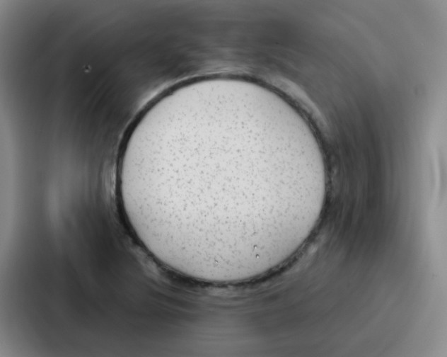 X0000086931220200705141735