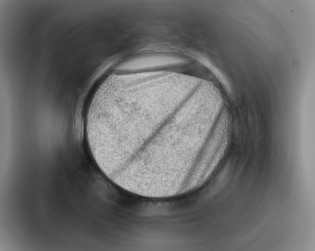 X0000086931221200705141736