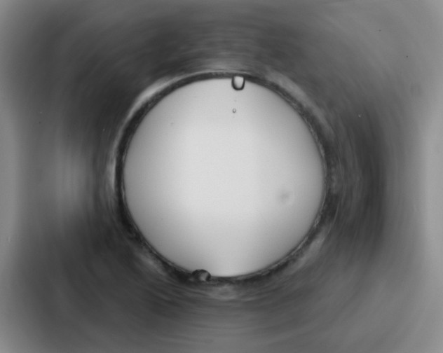 X0000086931222200705141736