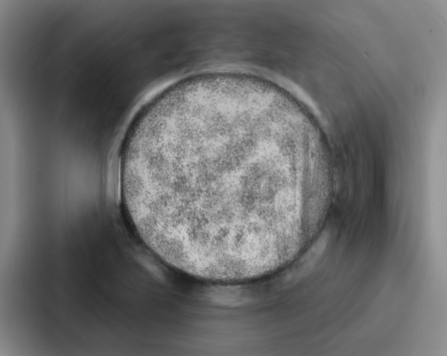 X0000086931223200705141736