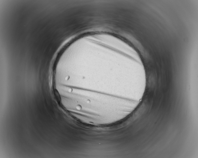 X0000086931224200705141736