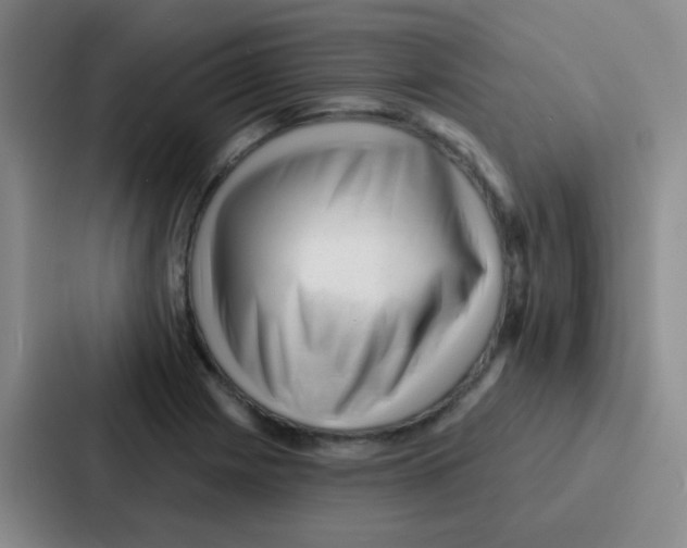 X0000086931225200705141736