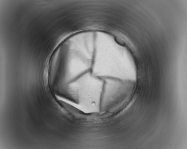 X0000086931228200705141736