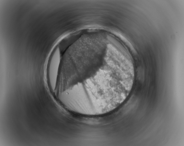 X0000086931229200705141736