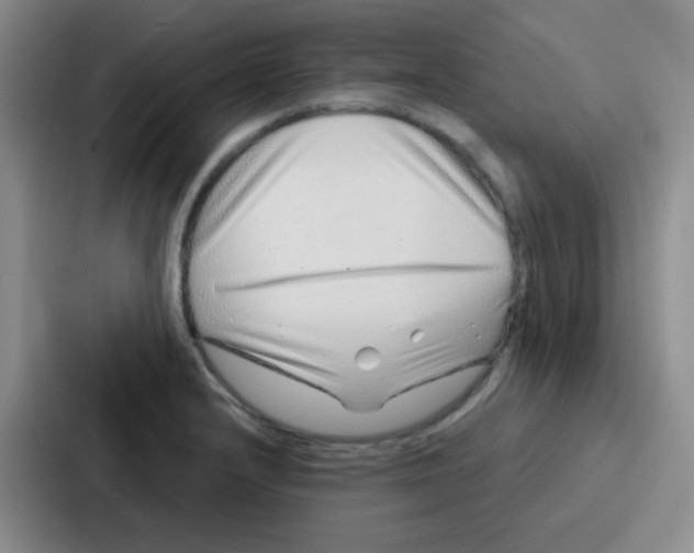 X0000086931232200705141736