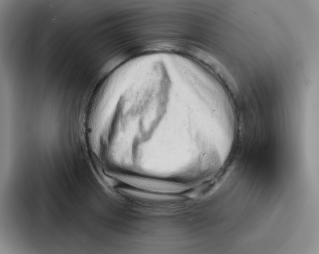 X0000086931233200705141736