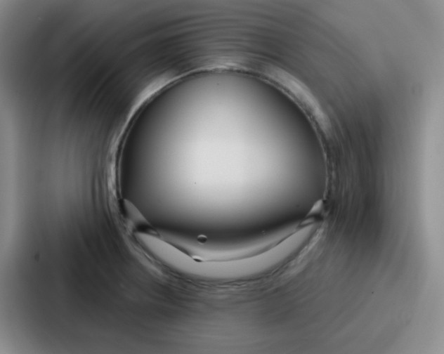 X0000086931234200705141736