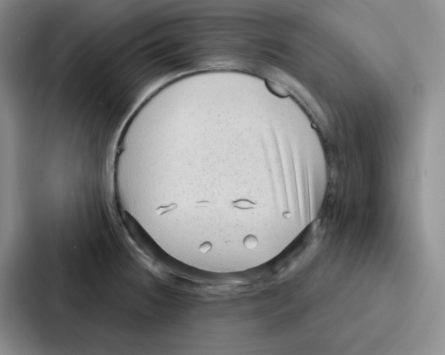 X0000086931236200705141736