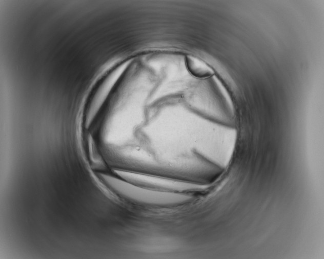 X0000086931237200705141736