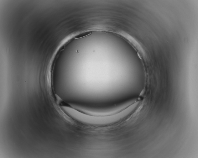 X0000086931238200705141736