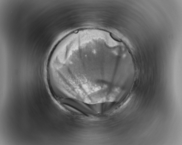 X0000086931239200705141736