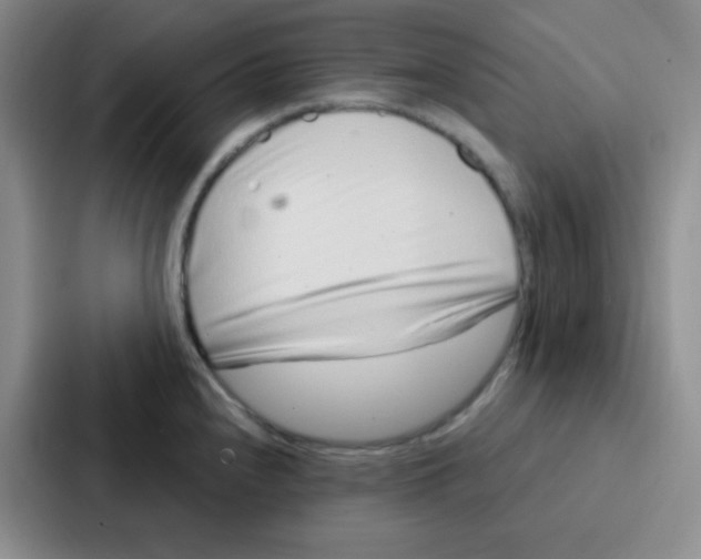 X0000086931240200705141736