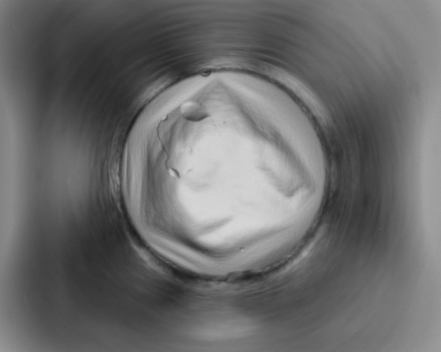 X0000086931241200705141736