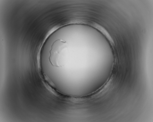 X0000086931242200705141736