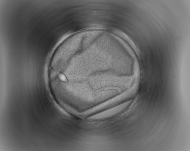 X0000086931243200705141736