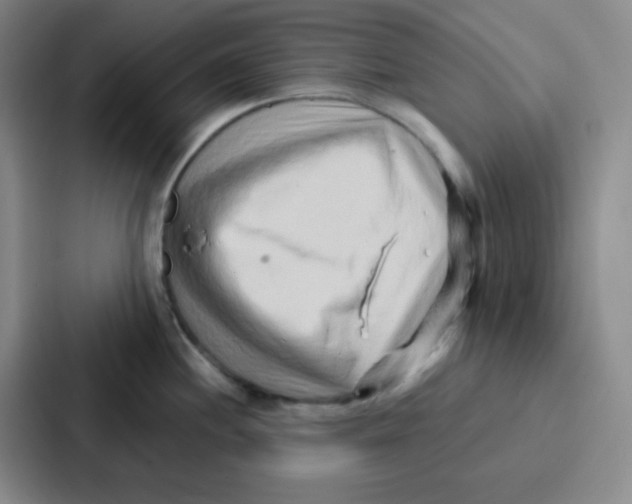 X0000086931244200705141736