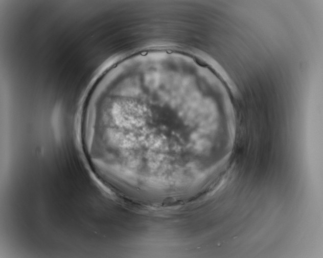 X0000086931245200705141736