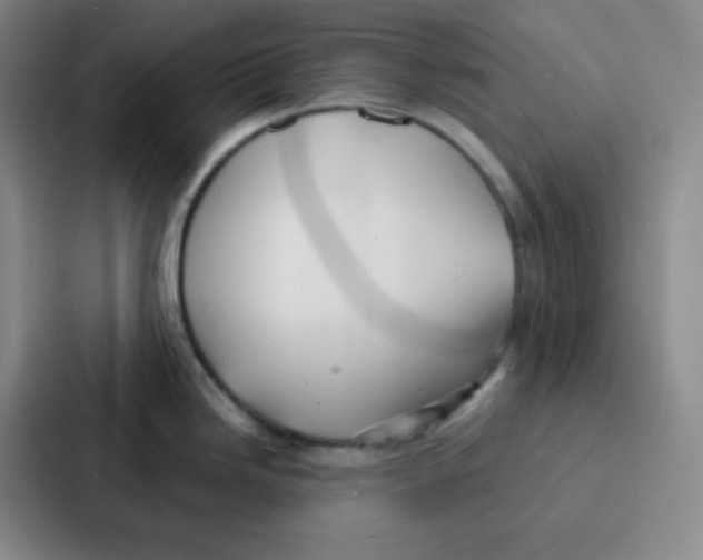 X0000086931246200705141736