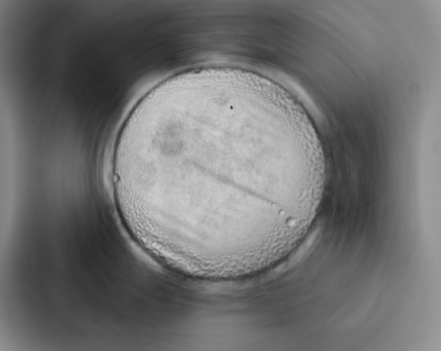 X0000086931247200705141736