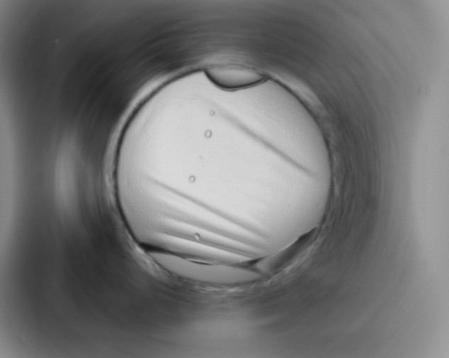 X0000086931248200705141736