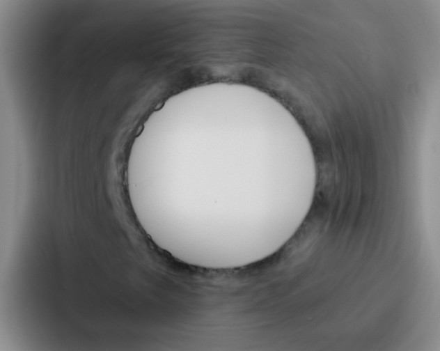 X0000086931249200705141735