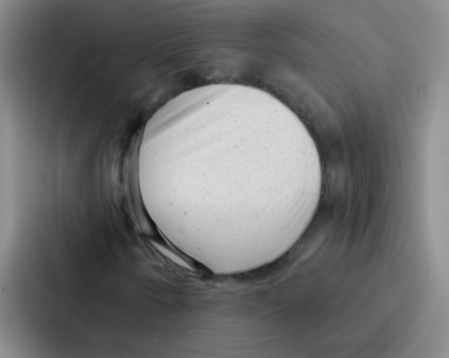 X0000086931250200705141735