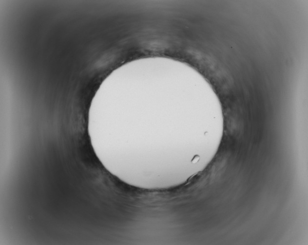 X0000086931253200705141735